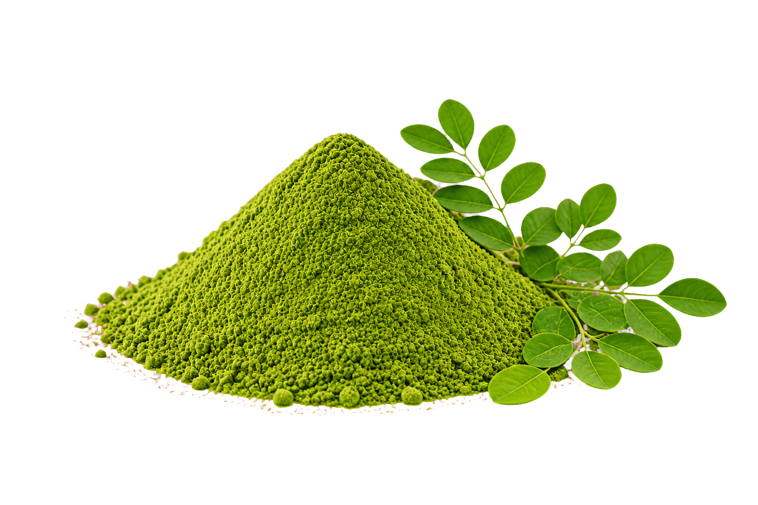 Moringa Powder cutout